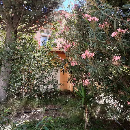 Bel Bord De Apartment